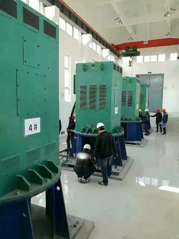 东胜某污水处理厂使用我厂的立式高压电机安装现场